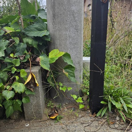 魚津市大光寺